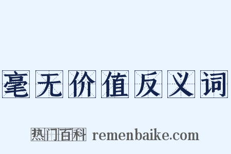 毫无价值反义词是什么意思的图片